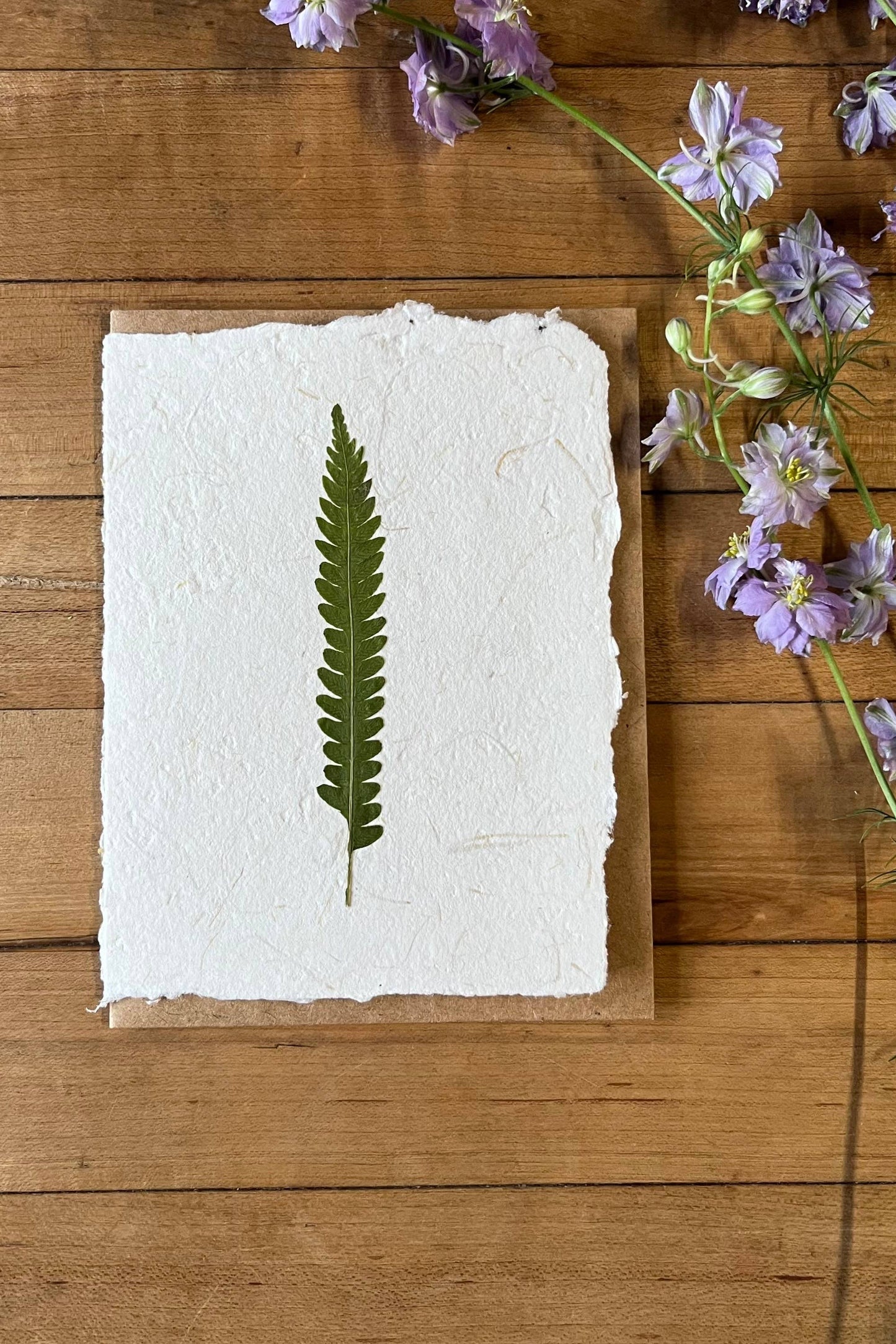 Ostrich Fern card