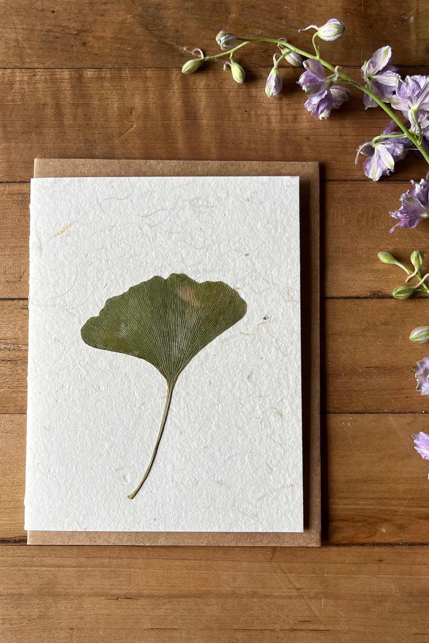 Summer Ginkgo card