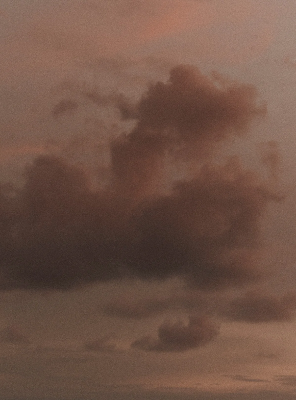 Rock Rose Eau De Parfum, 50 mL