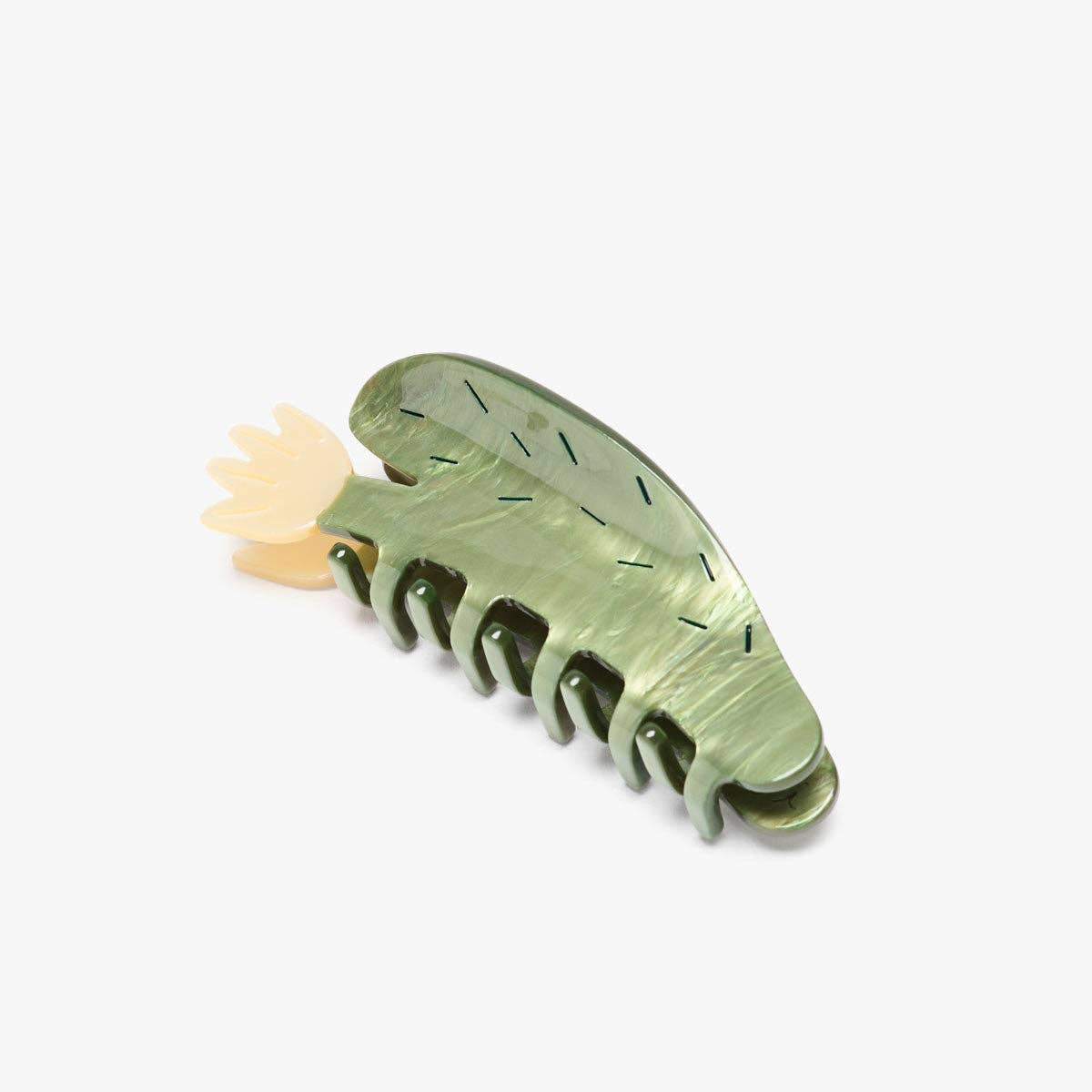 Desert Bloom Succulent Flower Claw