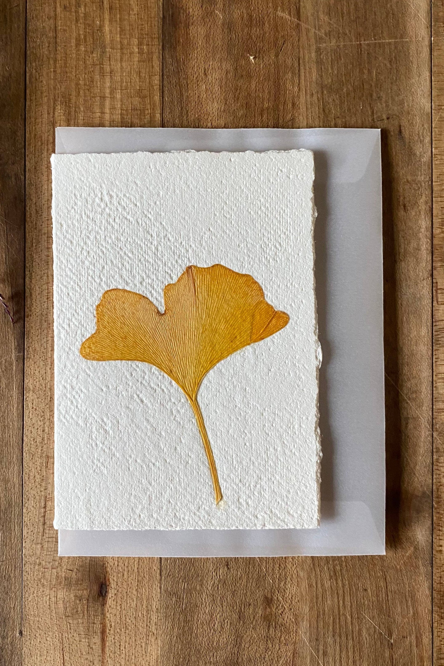 Ginkgo card: Spruce