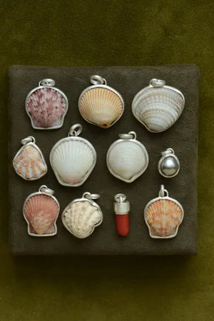 Shell Pendant on Chain- 2