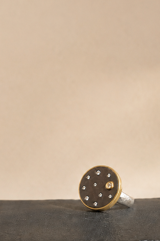 Oxidized 18K/SS Night Sky Ring