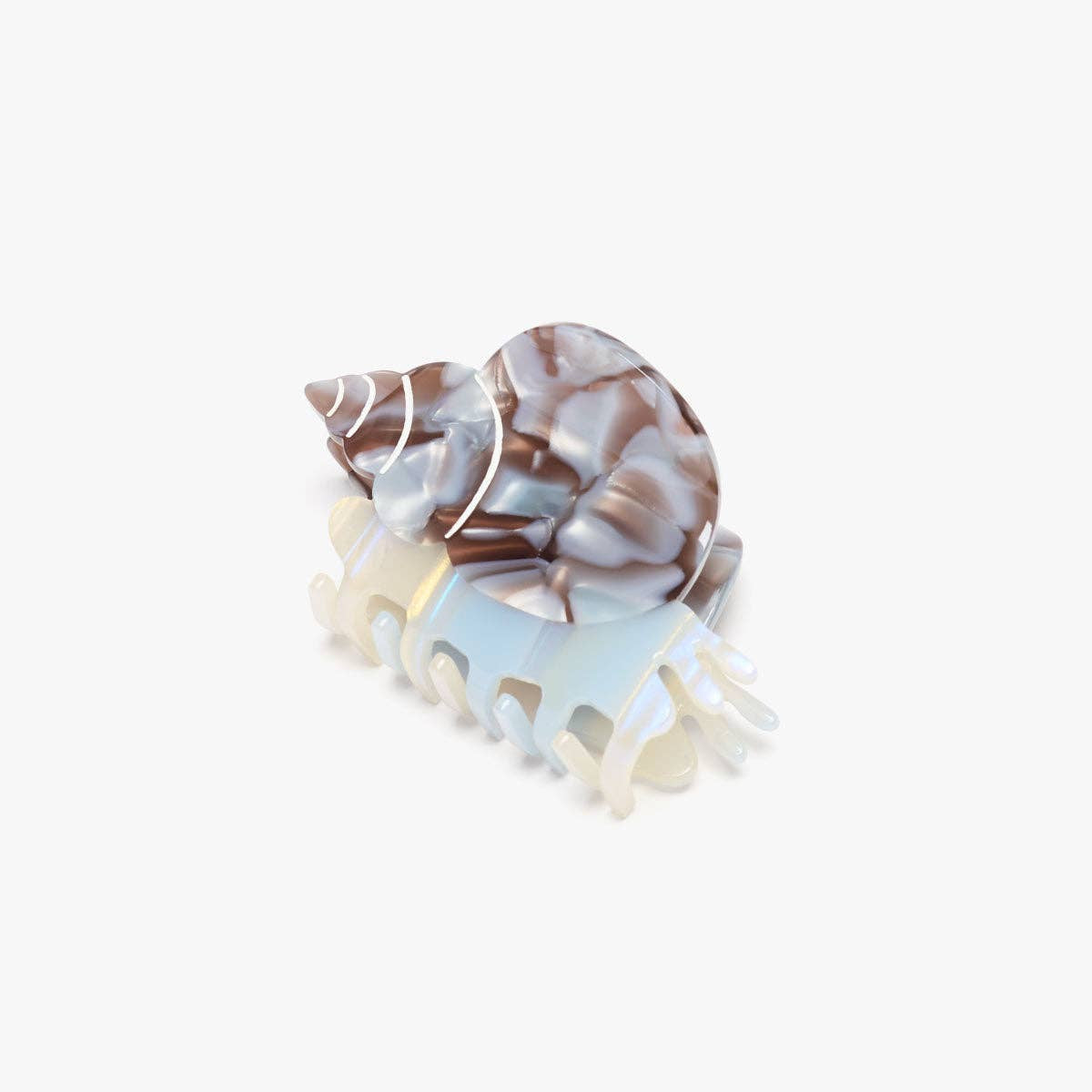Blue Whelk Claw - Sea Snail Shell Clip