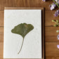 Summer Ginkgo card