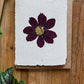 Cosmos pressed flower card