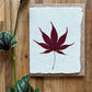 Japanese Red Maple card