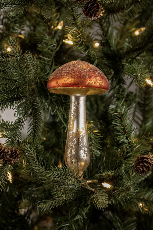 Orange Capped Mushroom Clip