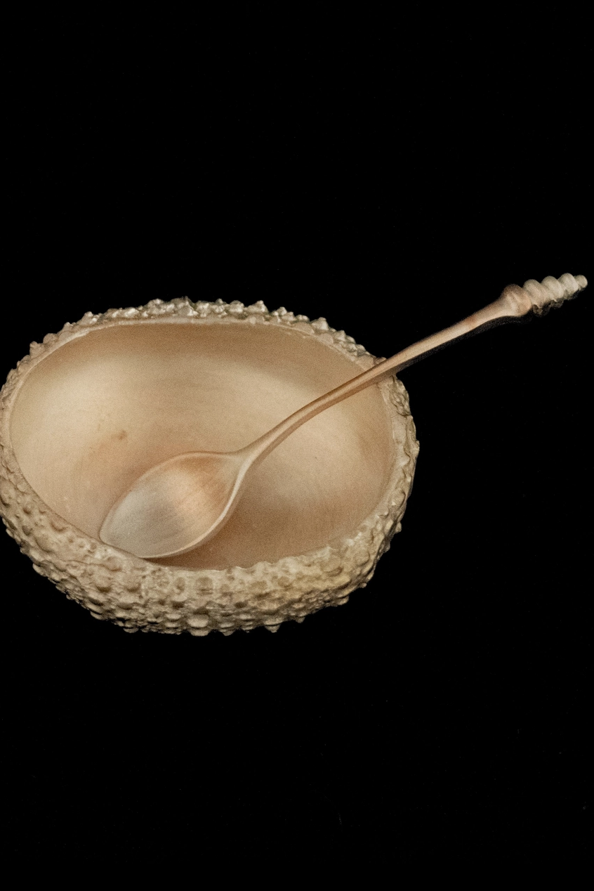 Sea Urchin Salt Dish, Copper