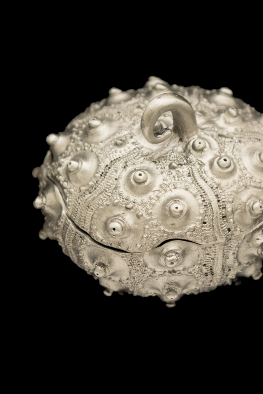 Sea Urchin Box, Silver