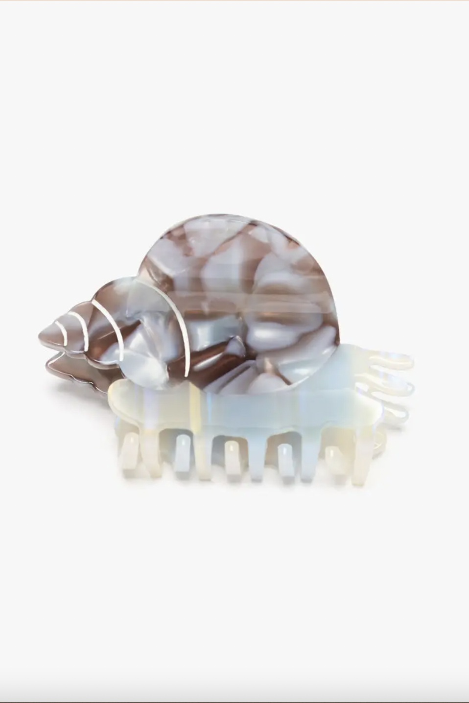 Blue Whelk Sea Shell Claw Clip