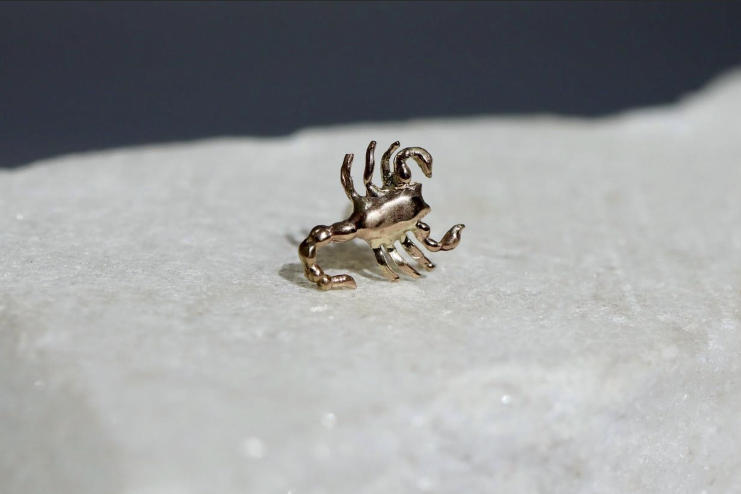 Scorpion Single Stud, 14k Gold