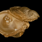 Oyster with Pearls Box, Gold