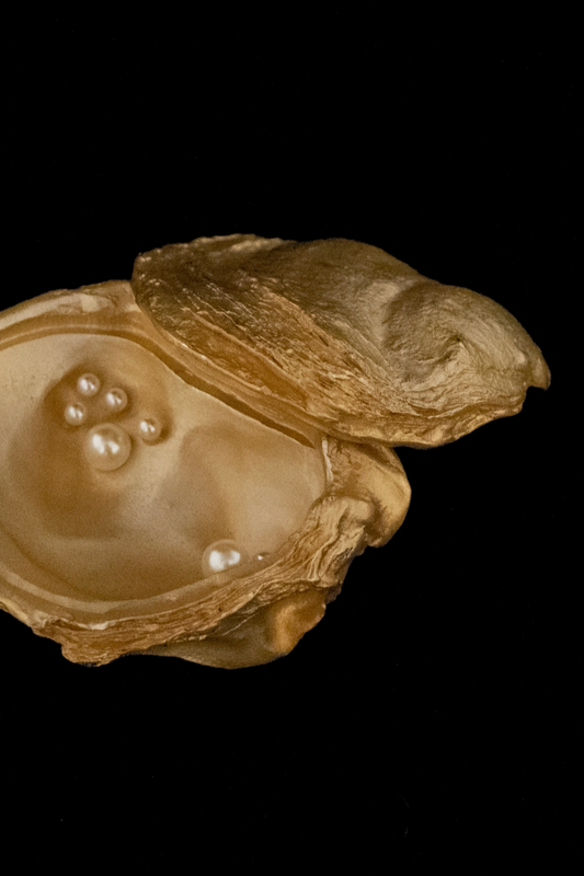 Oyster with Pearls Box, Gold
