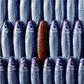 Sardines in a Net, Set of 6