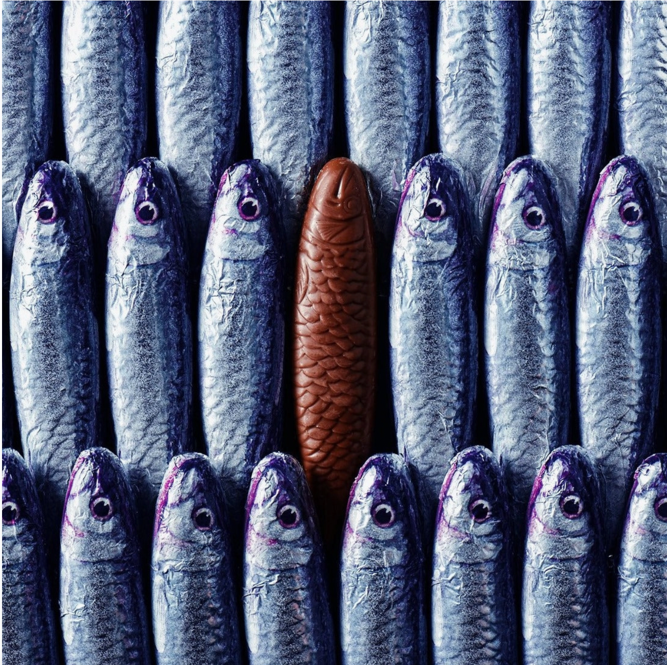 Sardines in a Net, Set of 6
