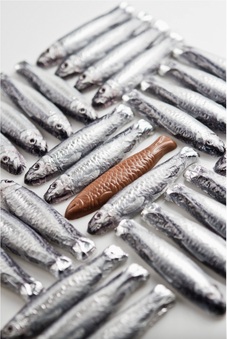 Sardines in a Net, Set of 6