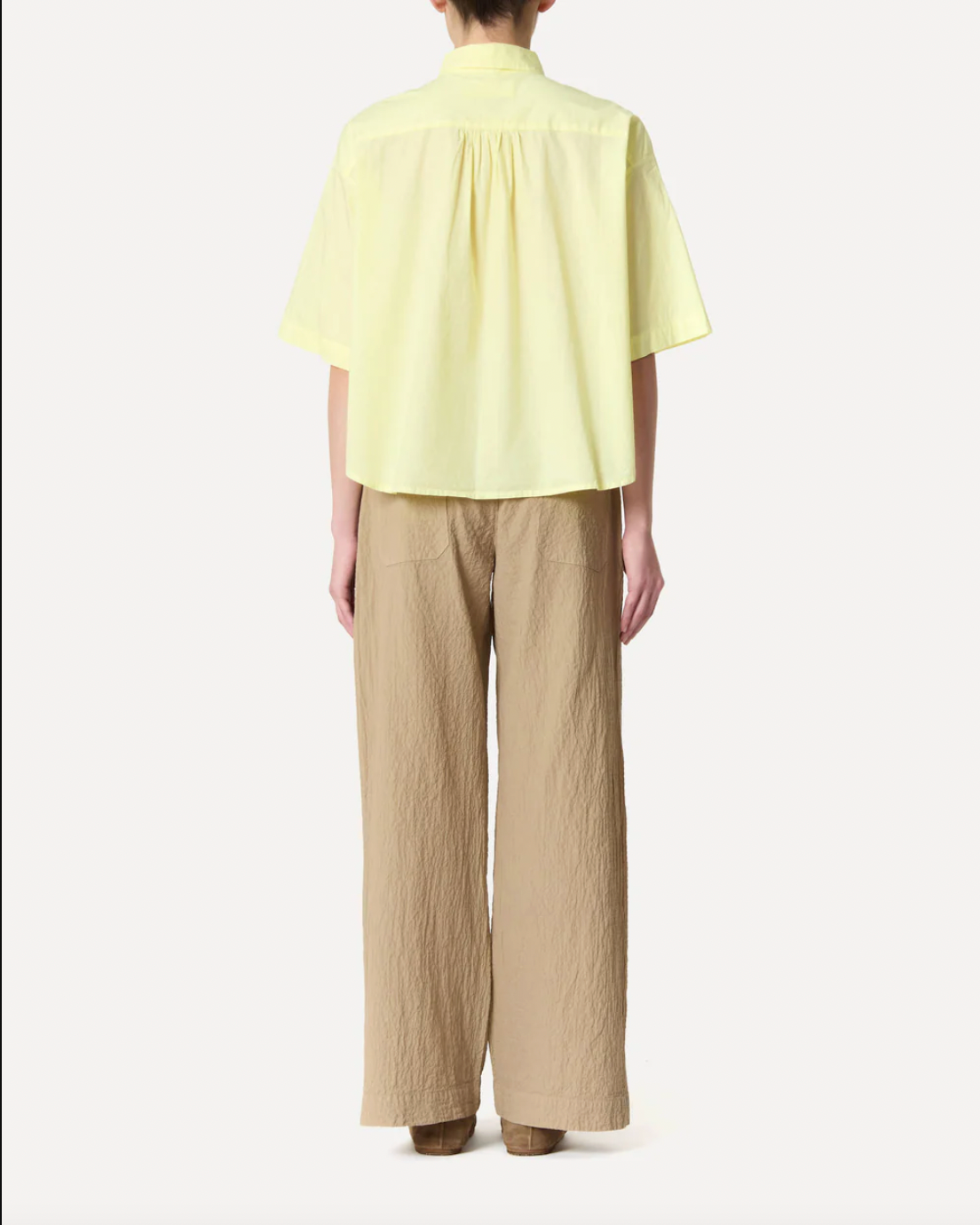 Camicia Egadi, Citronella