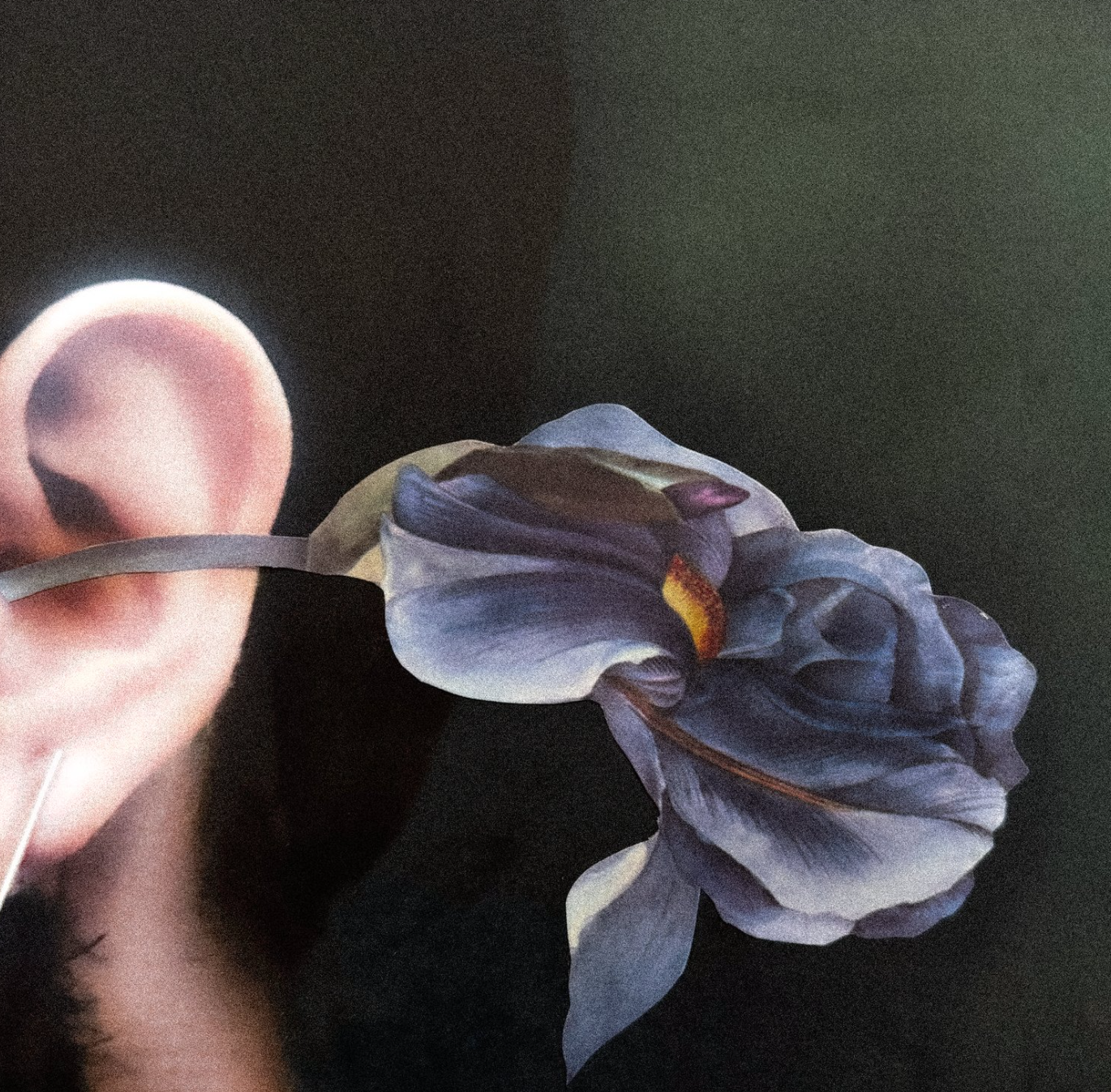 Aura Insignis 30ml Parfum