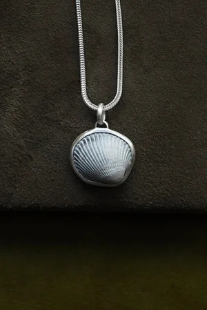 Shell Pendant on Chain