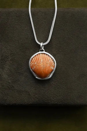 Shell Pendant on Chain