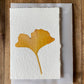 Ginkgo card: Spruce