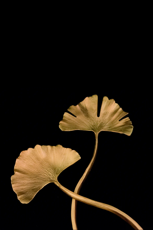 Ginkgo Serving Set, Gold