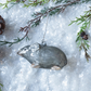 4" Grey Mouse Ornament