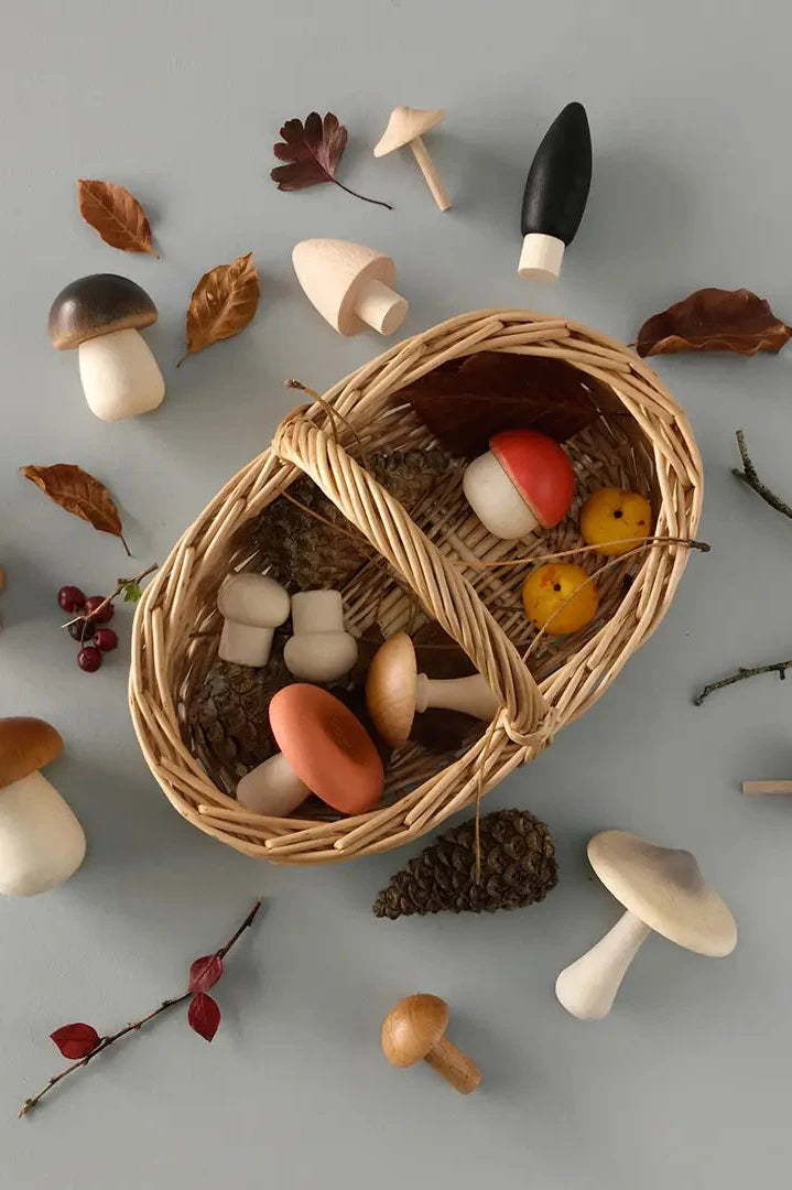 FOREST MUSHROOMS BASKET MOONPICNIC Forest Mushrooms In a Box by