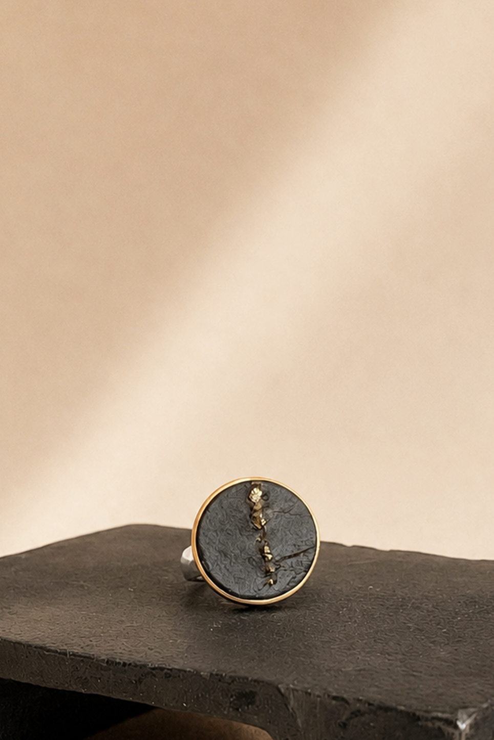 Black Slate with Pyrite Ring