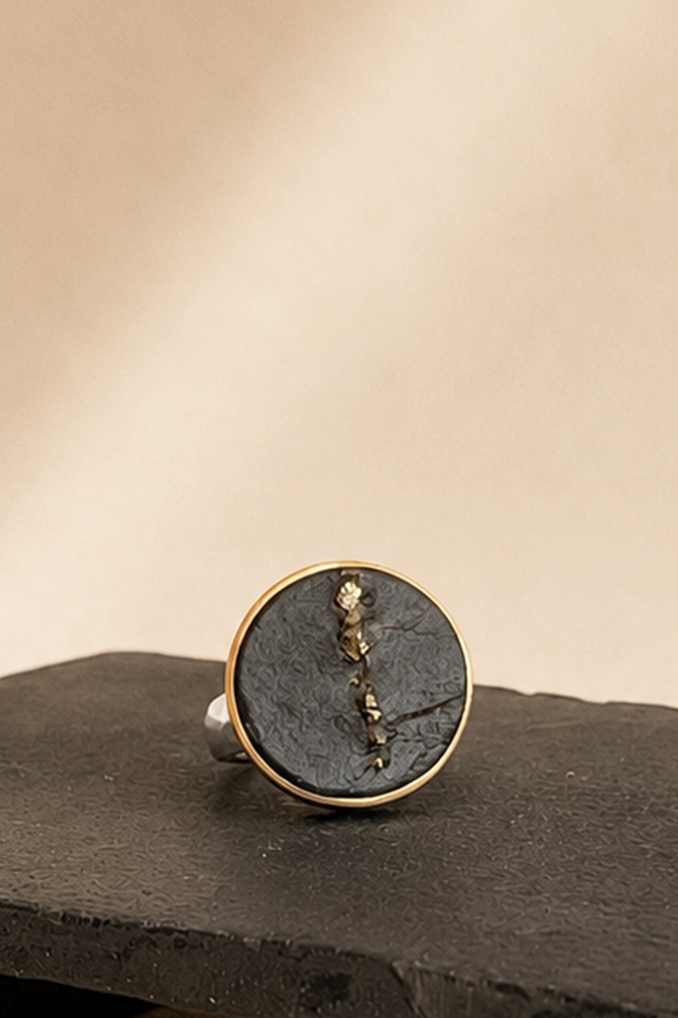 Black Slate with Pyrite Ring